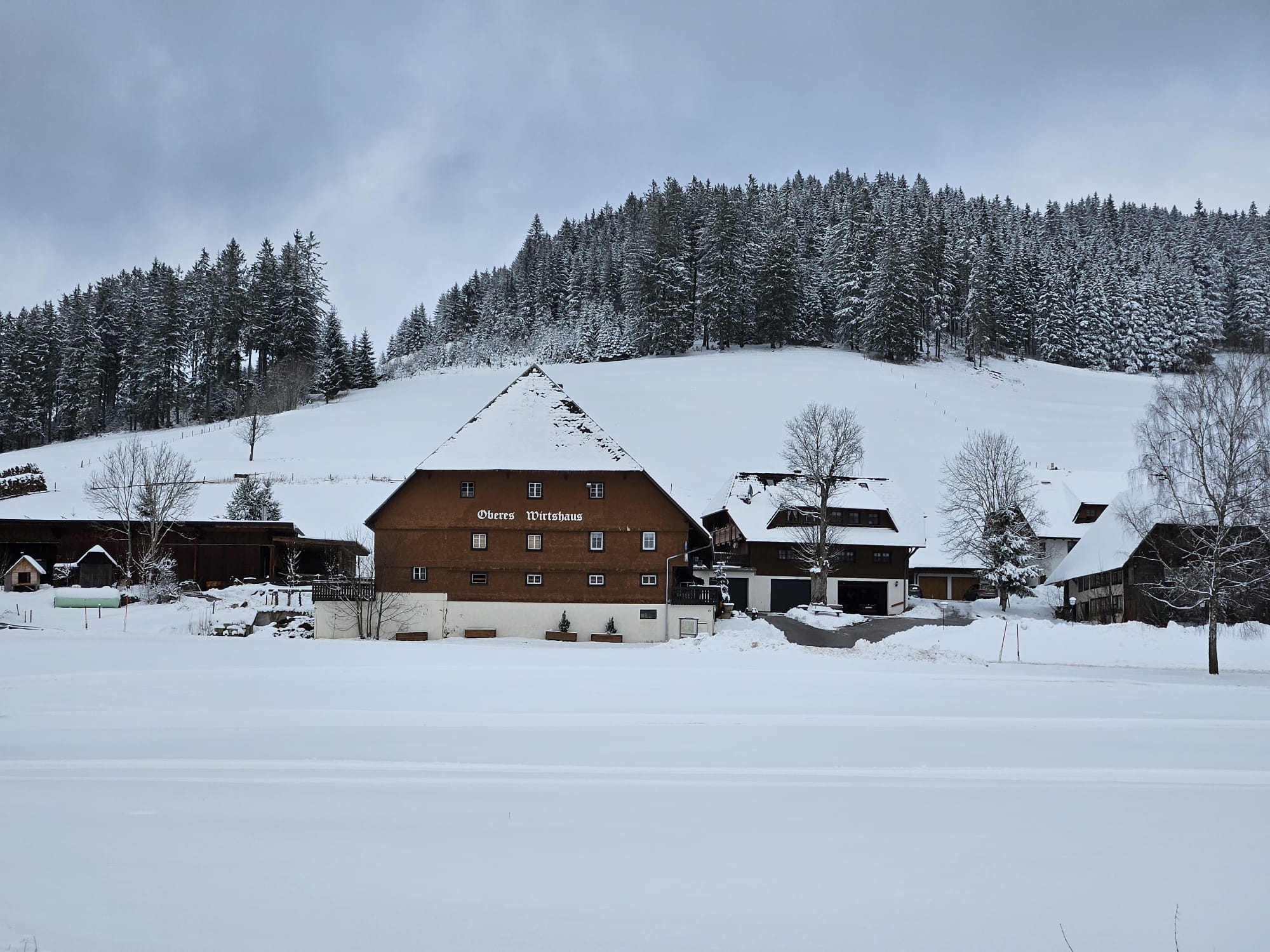 Langlauf im verschneiten Schwarzwald